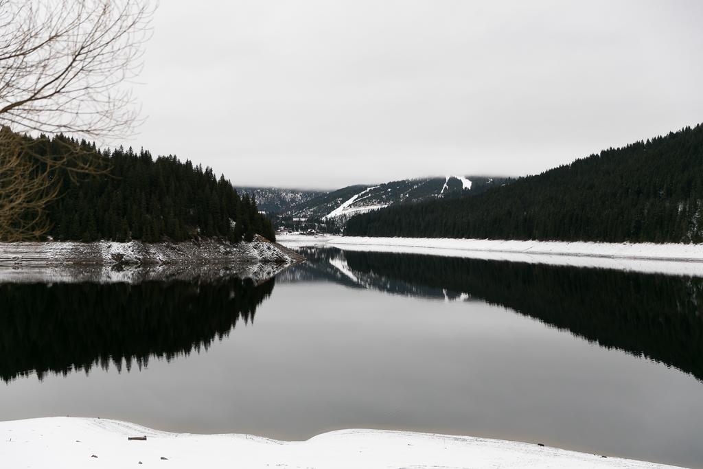 Panorama Apuseni Villa Jósikafalva Kültér fotó